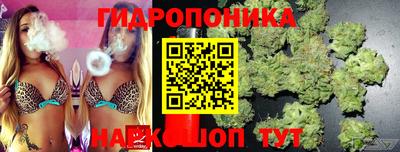 jwh Новодвинск