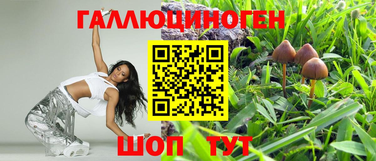 Соль-Илецк  Псилоцибиновые грибы Psilocybine cubensis  Вход с VPN 