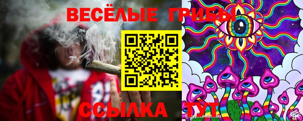 Галлюциногенные грибы прущие грибы Соль-Илецк